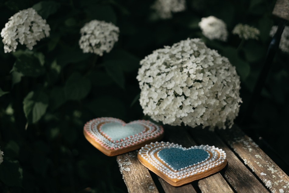 Do You Know Gingerbread from Milovy?