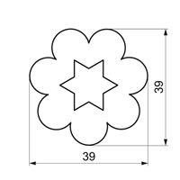 Kvet_Hvezdicka_Vykra
