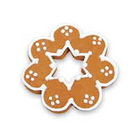 Kvet_Hvezdicka_Vykra