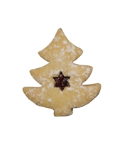 Jedle_Hvezdicka_Vykr