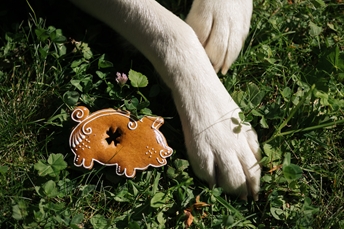 5 Steps Towards Sustainability