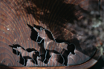 Sommer-Trend: Ungebackene Süßigkeiten